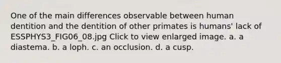 One of the main differences observable between human dentition and the dentition of other primates is humans' lack of ESSPHYS3_FIG06_08.jpg Click to view enlarged image. a. a diastema. b. a loph. c. an occlusion. d. a cusp.