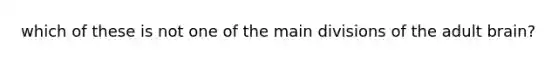which of these is not one of the main divisions of the adult brain?