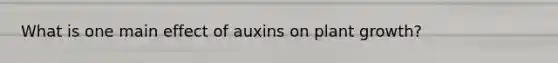 What is one main effect of auxins on plant growth?