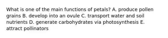 What is one of the main functions of petals? A. produce pollen grains B. develop into an ovule C. transport water and soil nutrients D. generate carbohydrates via photosynthesis E. attract pollinators