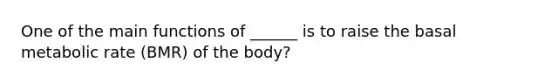 One of the main functions of ______ is to raise the basal metabolic rate (BMR) of the body?