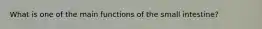 What is one of the main functions of the small intestine?