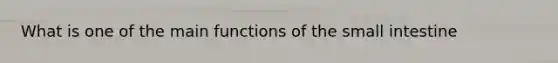 What is one of the main functions of the small intestine