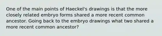 One of the main points of Haeckel's drawings is that the more closely related embryo forms shared a more recent common ancestor. Going back to the embryo drawings what two shared a more recent common ancestor?