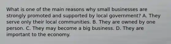 What is one of the main reasons why small businesses are strongly promoted and supported by local government? A. They serve only their local communities. B. They are owned by one person. C. They may become a big business. D. They are important to the economy.