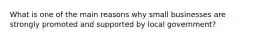 What is one of the main reasons why small businesses are strongly promoted and supported by local government?