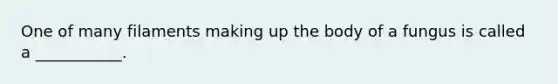 One of many filaments making up the body of a fungus is called a ___________.