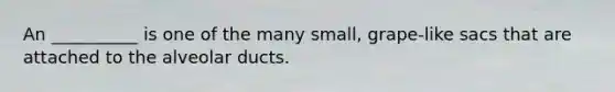 An __________ is one of the many small, grape-like sacs that are attached to the alveolar ducts.