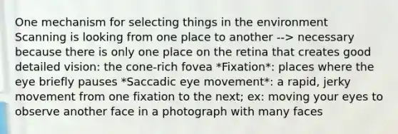 One mechanism for selecting things in the environment Scanning is looking from one place to another --> necessary because there is only one place on the retina that creates good detailed vision: the cone-rich fovea *Fixation*: places where the eye briefly pauses *Saccadic eye movement*: a rapid, jerky movement from one fixation to the next; ex: moving your eyes to observe another face in a photograph with many faces