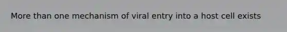 <a href='https://www.questionai.com/knowledge/keWHlEPx42-more-than' class='anchor-knowledge'>more than</a> one mechanism of viral entry into a host cell exists