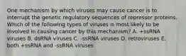 One mechanism by which viruses may cause cancer is to interrupt the genetic regulatory sequences of repressor proteins. Which of the following types of viruses is most likely to be involved in causing cancer by this mechanism? A. +ssRNA viruses B. dsRNA viruses C. -ssRNA viruses D. retroviruses E. both +ssRNA and -ssRNA viruses