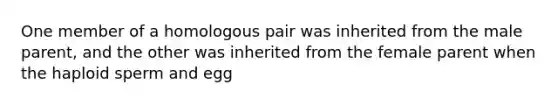 One member of a homologous pair was inherited from the male parent, and the other was inherited from the female parent when the haploid sperm and egg