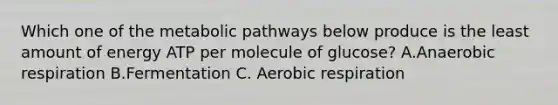 Which one of the metabolic pathways below produce is the least amount of energy ATP per molecule of glucose? A.An<a href='https://www.questionai.com/knowledge/kyxGdbadrV-aerobic-respiration' class='anchor-knowledge'>aerobic respiration</a> B.Fermentation C. Aerobic respiration