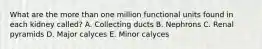 What are the more than one million functional units found in each kidney called? A. Collecting ducts B. Nephrons C. Renal pyramids D. Major calyces E. Minor calyces