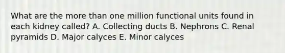 What are the more than one million functional units found in each kidney called? A. Collecting ducts B. Nephrons C. Renal pyramids D. Major calyces E. Minor calyces