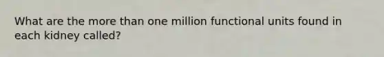 What are the more than one million functional units found in each kidney called?