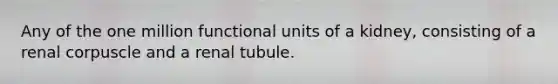 Any of the one million functional units of a kidney, consisting of a renal corpuscle and a renal tubule.