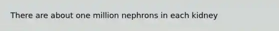 There are about one million nephrons in each kidney