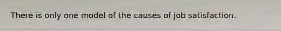 There is only one model of the causes of job satisfaction.