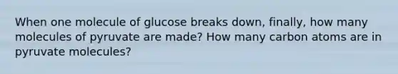 When one molecule of glucose breaks down, finally, how many molecules of pyruvate are made? How many carbon atoms are in pyruvate molecules?