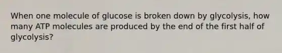 When one molecule of glucose is broken down by glycolysis, how many ATP molecules are produced by the end of the first half of glycolysis?