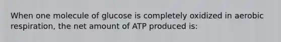 When one molecule of glucose is completely oxidized in aerobic respiration, the net amount of ATP produced is: