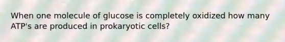 When one molecule of glucose is completely oxidized how many ATP's are produced in prokaryotic cells?