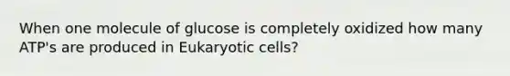 When one molecule of glucose is completely oxidized how many ATP's are produced in Eukaryotic cells?