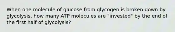 When one molecule of glucose from glycogen is broken down by glycolysis, how many ATP molecules are "invested" by the end of the first half of glycolysis?