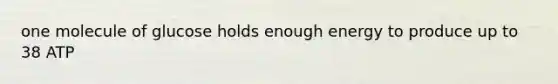 one molecule of glucose holds enough energy to produce up to 38 ATP