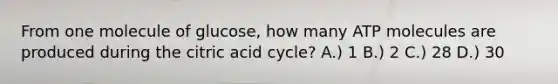 From one molecule of glucose, how many ATP molecules are produced during the citric acid cycle? A.) 1 B.) 2 C.) 28 D.) 30