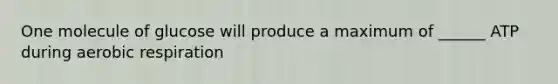 One molecule of glucose will produce a maximum of ______ ATP during aerobic respiration