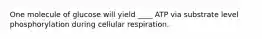 One molecule of glucose will yield ____ ATP via substrate level phosphorylation during cellular respiration.