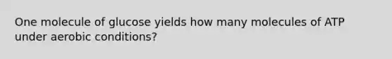 One molecule of glucose yields how many molecules of ATP under aerobic conditions?