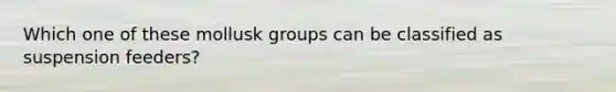 Which one of these mollusk groups can be classified as suspension feeders?