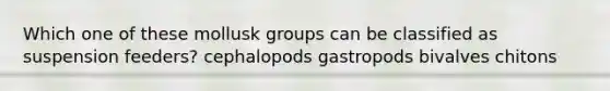 Which one of these mollusk groups can be classified as suspension feeders? cephalopods gastropods bivalves chitons