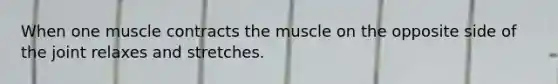 When one muscle contracts the muscle on the opposite side of the joint relaxes and stretches.