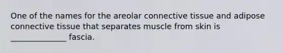 One of the names for the areolar <a href='https://www.questionai.com/knowledge/kYDr0DHyc8-connective-tissue' class='anchor-knowledge'>connective tissue</a> and adipose connective tissue that separates muscle from skin is ______________ fascia.