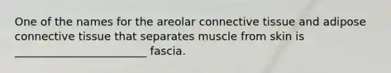 One of the names for the areolar connective tissue and adipose connective tissue that separates muscle from skin is ________________________ fascia.