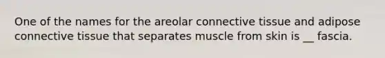 One of the names for the areolar connective tissue and adipose connective tissue that separates muscle from skin is __ fascia.