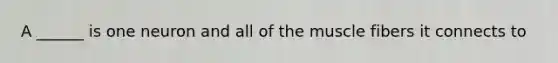 A ______ is one neuron and all of the muscle fibers it connects to