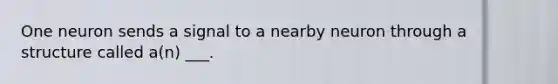 One neuron sends a signal to a nearby neuron through a structure called a(n) ___.