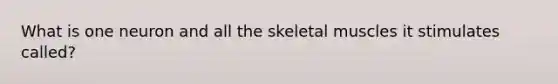 What is one neuron and all the skeletal muscles it stimulates called?