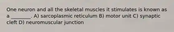 One neuron and all the skeletal muscles it stimulates is known as a ________. A) sarcoplasmic reticulum B) motor unit C) synaptic cleft D) neuromuscular junction