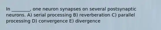 In ________, one neuron synapses on several postsynaptic neurons. A) serial processing B) reverberation C) parallel processing D) convergence E) divergence