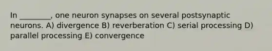 In ________, one neuron synapses on several postsynaptic neurons. A) divergence B) reverberation C) serial processing D) parallel processing E) convergence