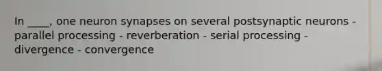 In ____, one neuron synapses on several postsynaptic neurons - parallel processing - reverberation - serial processing - divergence - convergence