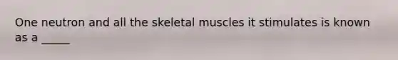 One neutron and all the skeletal muscles it stimulates is known as a _____