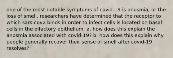 one of the most notable symptoms of covid-19 is anosmia, or the loss of smell. researchers have determined that the receptor to which sars-cov2 binds in order to infect cells is located on basal cells in the olfactory epithelium. a. how does this explain the anosmia associated with covid-19? b. how does this explain why people generally recover their sense of smell after covid-19 resolves?