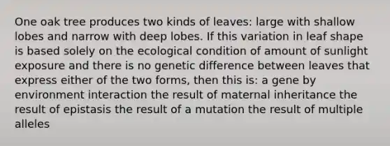 One oak tree produces two kinds of leaves: large with shallow lobes and narrow with deep lobes. If this variation in leaf shape is based solely on the ecological condition of amount of sunlight exposure and there is no genetic difference between leaves that express either of the two forms, then this is: a gene by environment interaction the result of maternal inheritance the result of epistasis the result of a mutation the result of multiple alleles